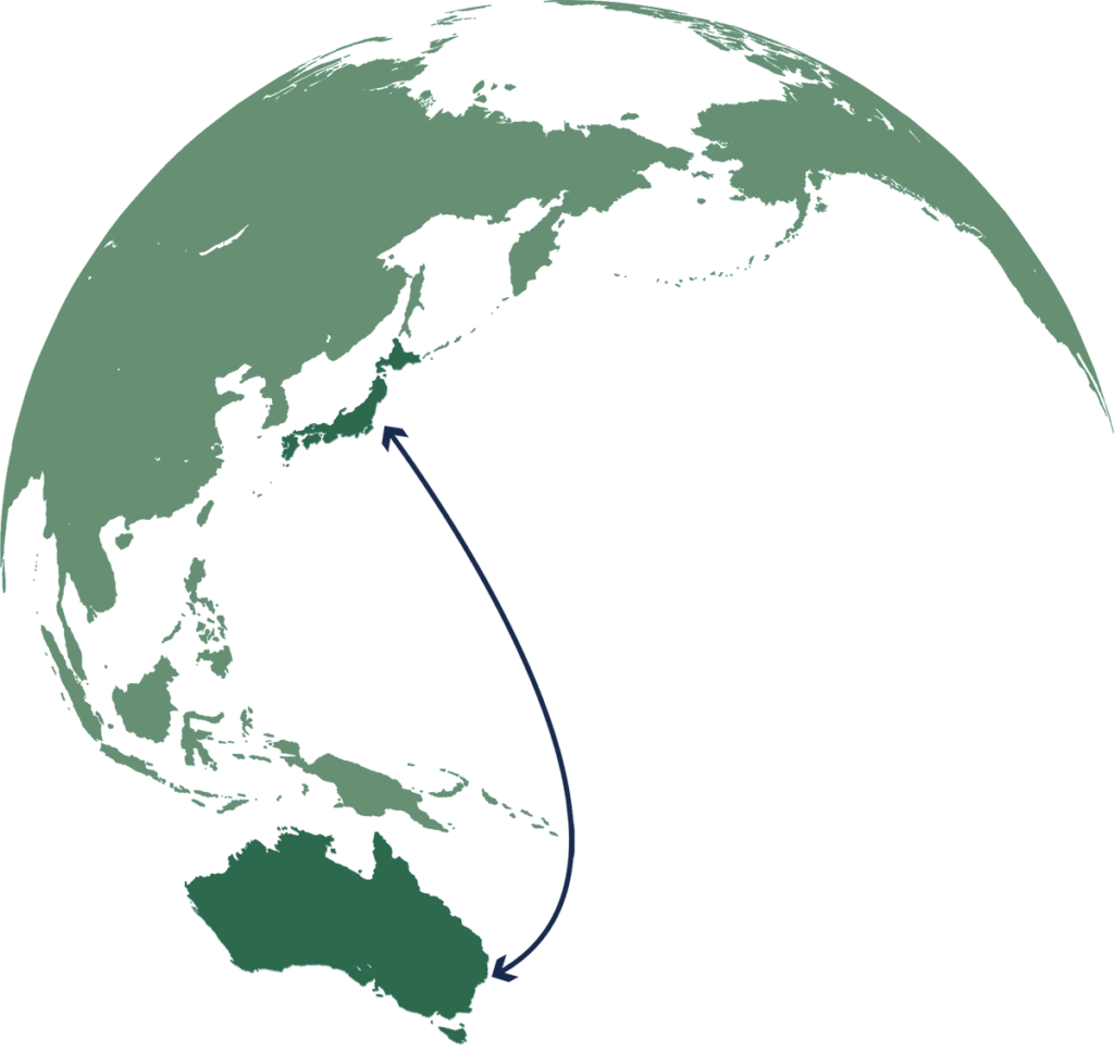 Shipping Network